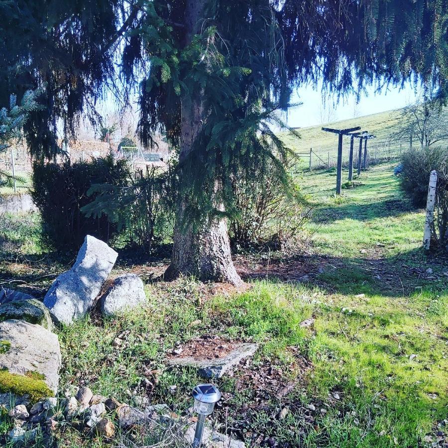 Au Pays D'Angeline Ξενοδοχείο La Pacaudière Εξωτερικό φωτογραφία